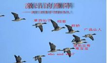 读《残鸟之梦》有感