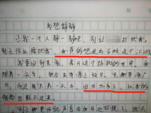 老师的爱小学组成