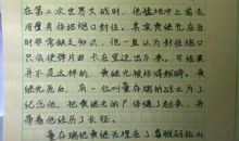 见闻作文500字
