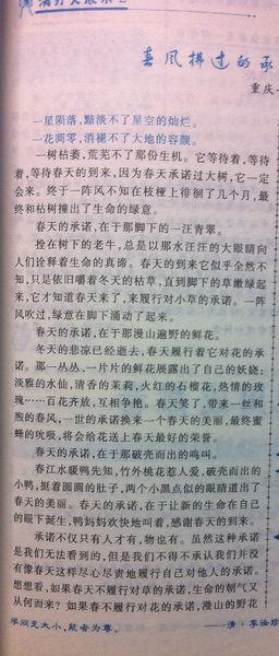 春季二年级作文