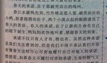 二年级描写春天的作文