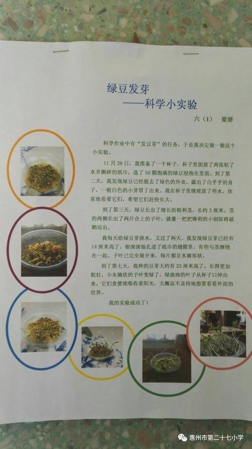 科学观察日记
