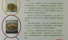 科学观察日记
