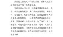 青鸟读后感300字