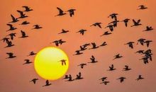 一首很好的励志诗