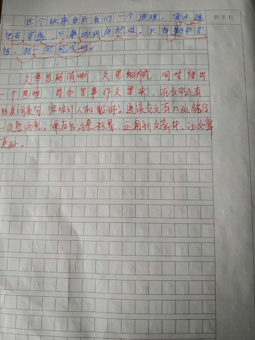 小学生骑自行车制作文学作品