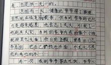 总有一种感动作文