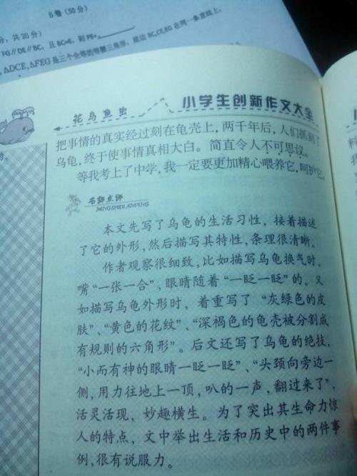实验观察组成