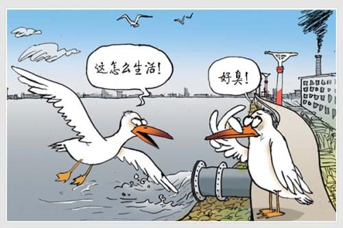 水污染成分