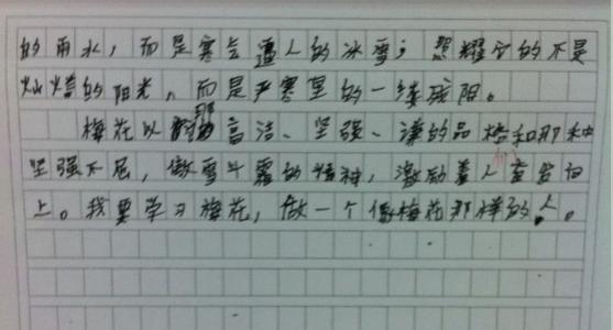 观察实验组成