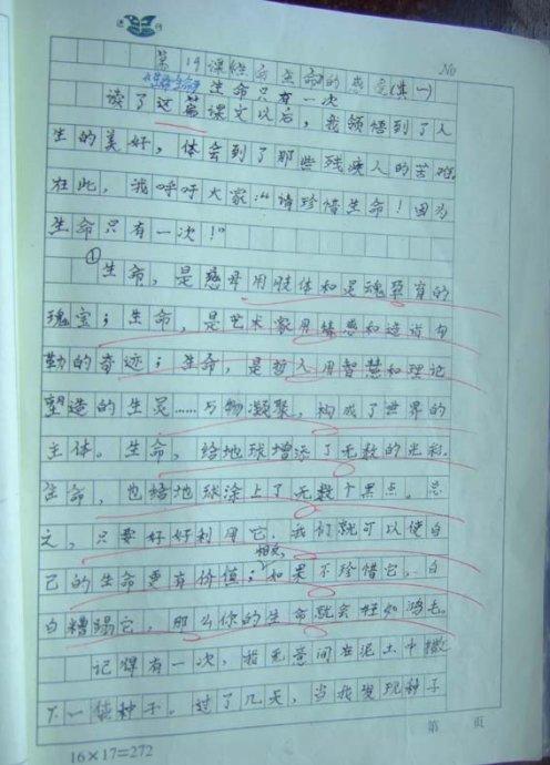快乐初中作文