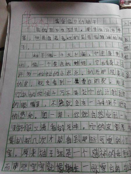 老师照顾学生的作文