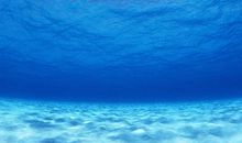 水滴和大海作文