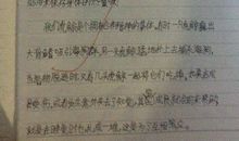 鲸的自述作文50字