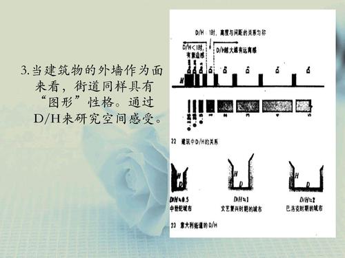 街道的美学