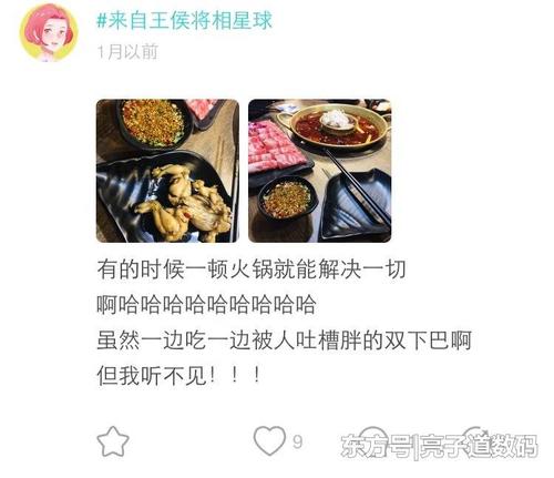 陶Z的经典语录