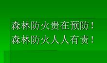 小学森林防火作文