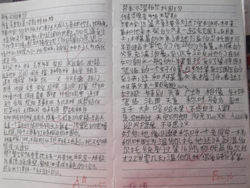 阅读后的论文
