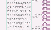 初中军训作文500字