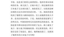 鸡毛信的故事读后感