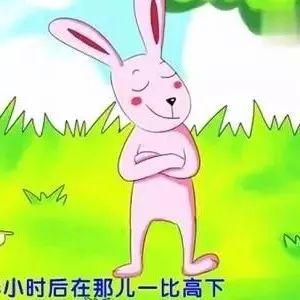兔子和刺猬