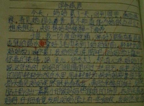 动物组成