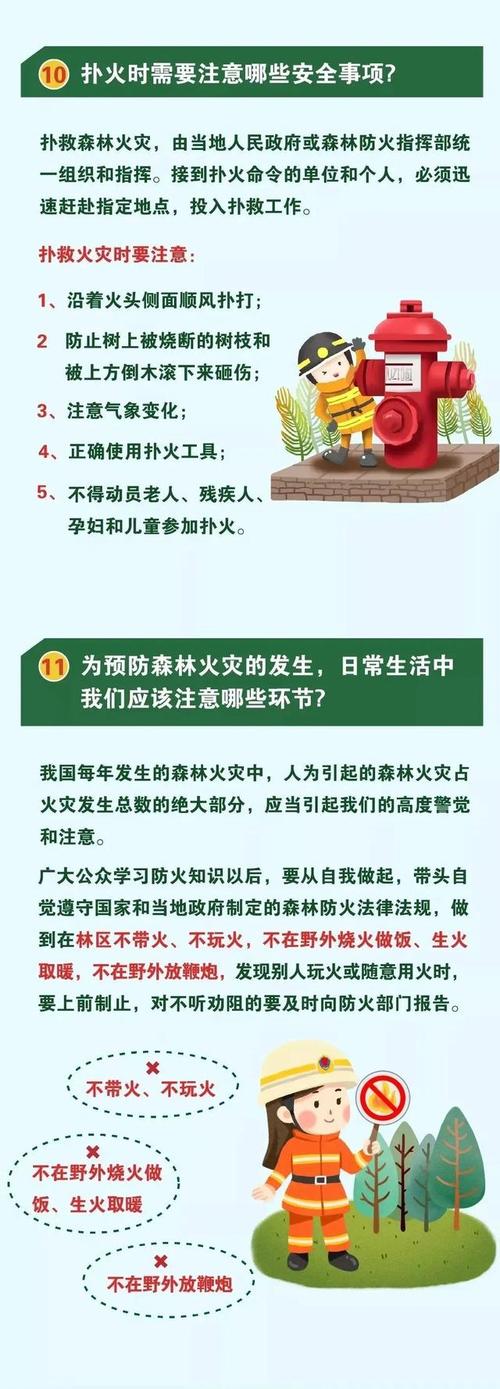 关于森林防火的组成