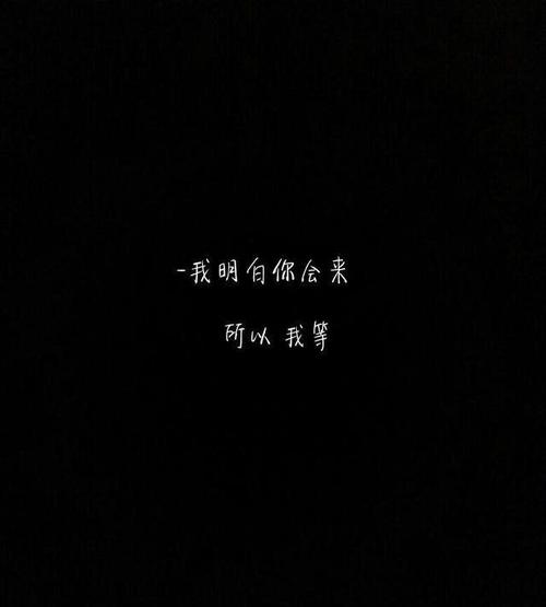 经典句子：我知道您会来的，所以我等