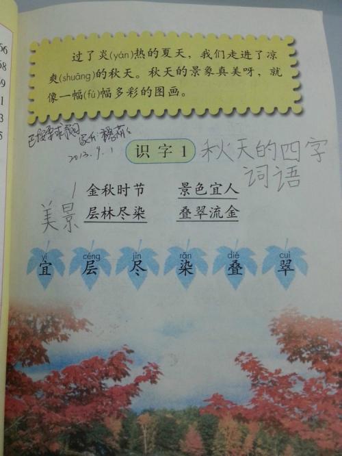 看完冰心的美文