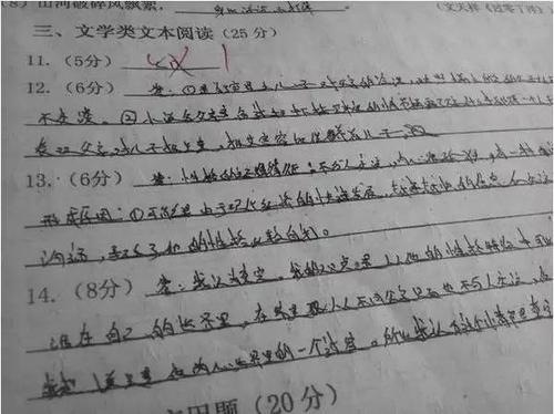 老师的故事作文