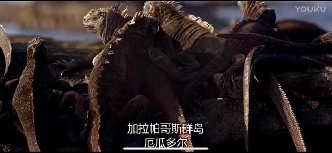 后果
