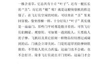 观察植物的作文