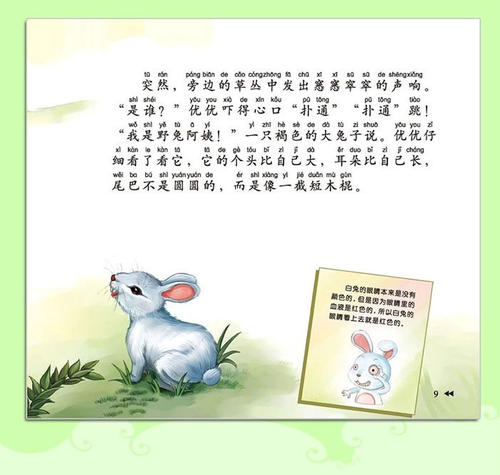 观察小动物
