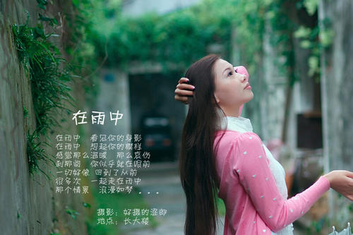 在雨中组成