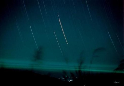 看完野草秋夜后看书