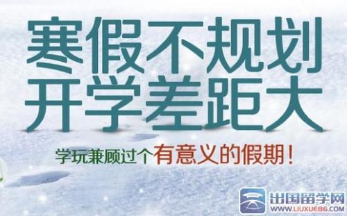 寒假收获组成200字