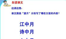 学习《望月》有感