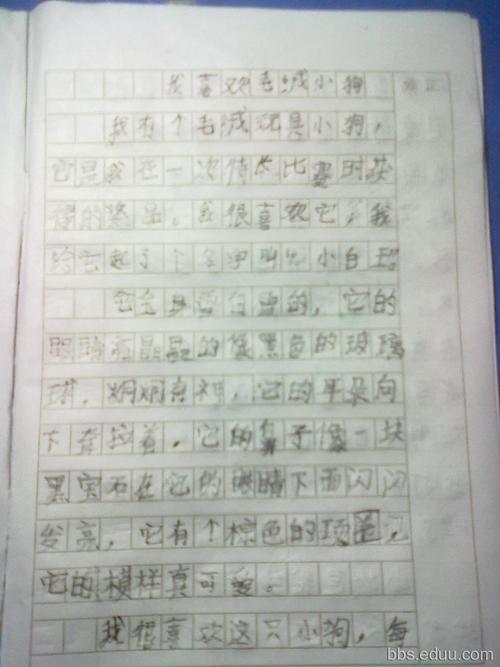 我的小狗组成
