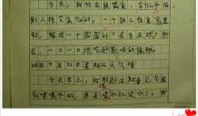 小学四年级观察作文