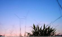 平淡的境界读后感