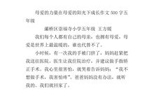 收集阳光作文500字