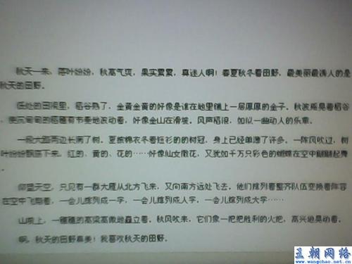 秋季作文500字