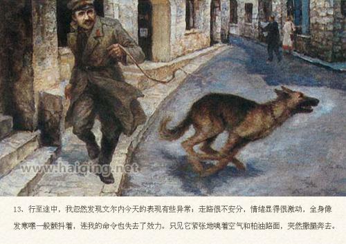 义狗的复仇