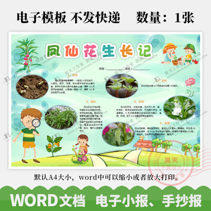小学植物观察日记