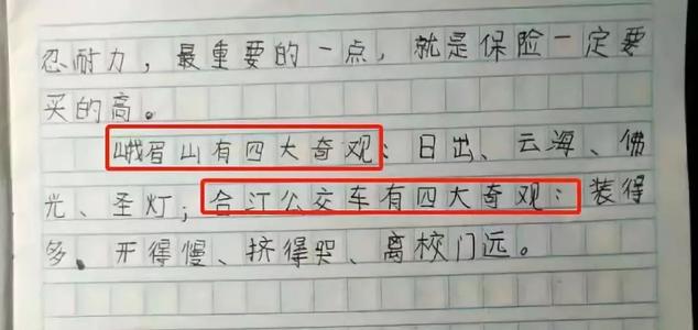 巴士体验组成
