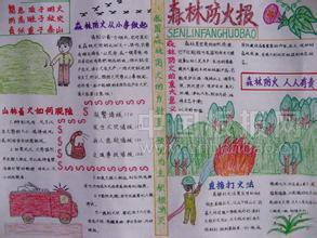 森林防火成分500字