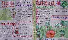 森林防火作文500字