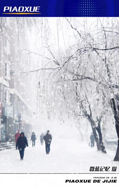 落雪组成