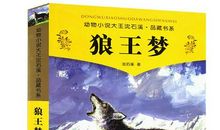 盲孩与弃狗读后感