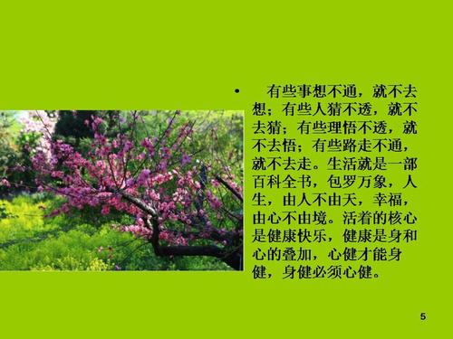 风雨生活构成